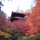 Autumn at Kongourinji of the Kotosanzan temples, Shiga Prefecture